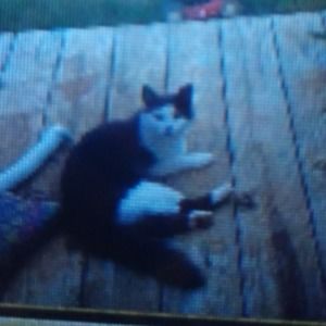 Meet your Posher, Resident